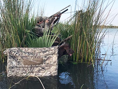 duck dog trainer texas